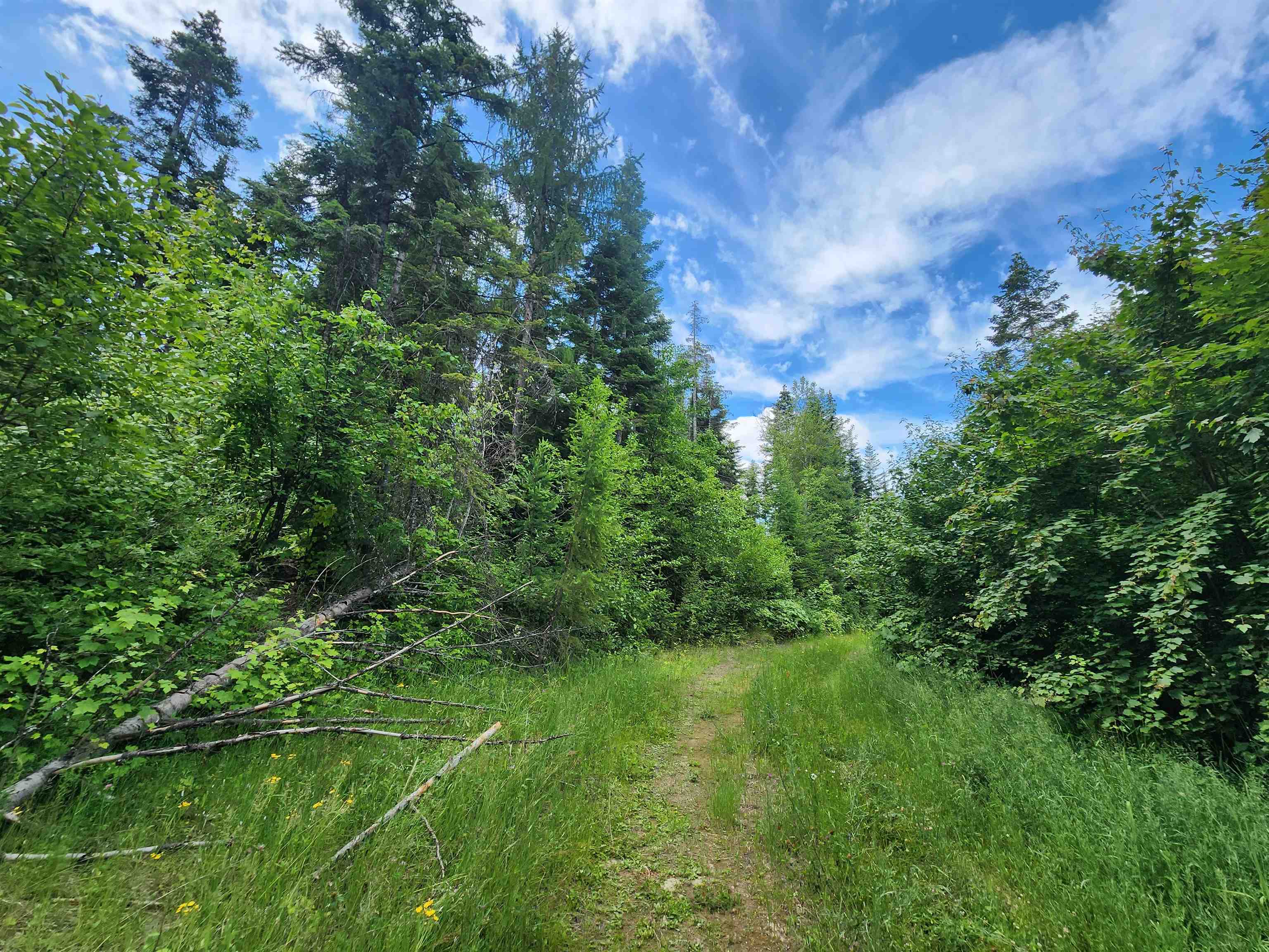 18-xxx East Eagle Ridge Lane Mead, WA 99021 - Photo 4 of 19