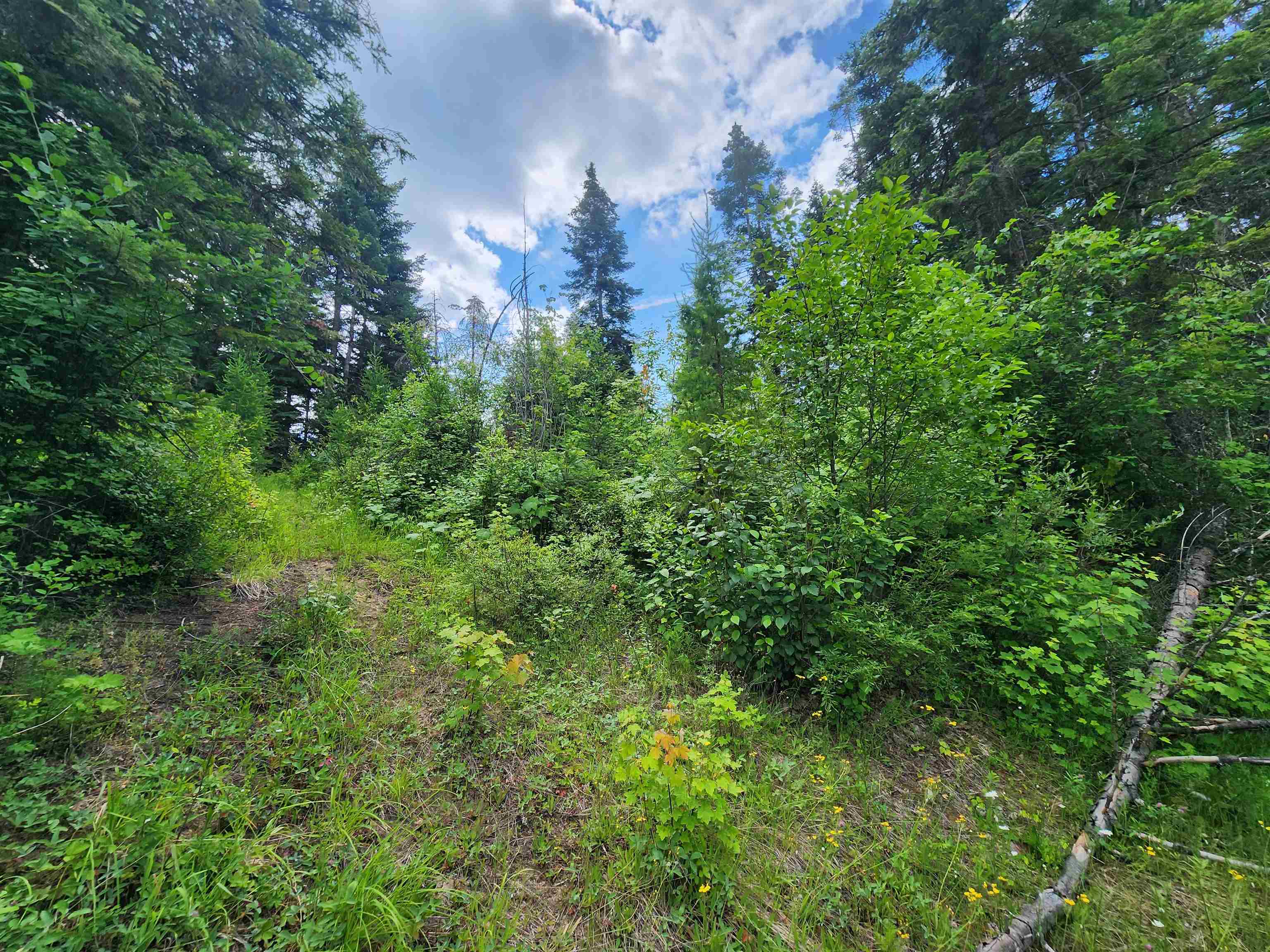 18-xxx East Eagle Ridge Lane Mead, WA 99021 - Photo 5 of 19