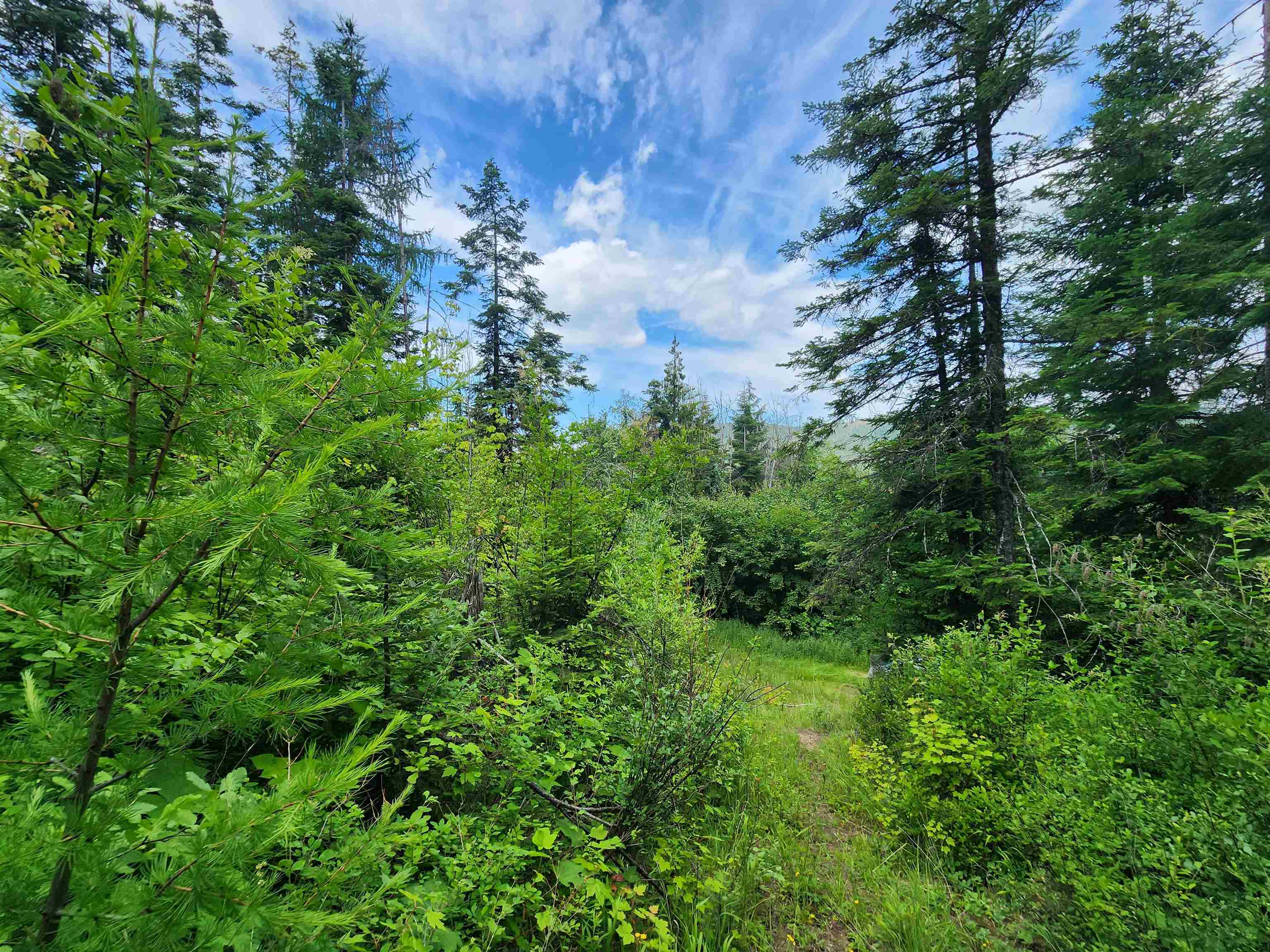 18-xxx East Eagle Ridge Lane Mead, WA 99021 - Photo 6 of 19