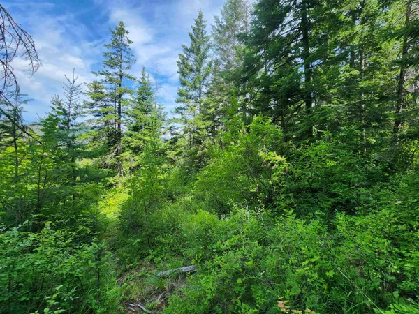 $200,000 | 18-xxx East Eagle Ridge Lane, Mead, WA 99021