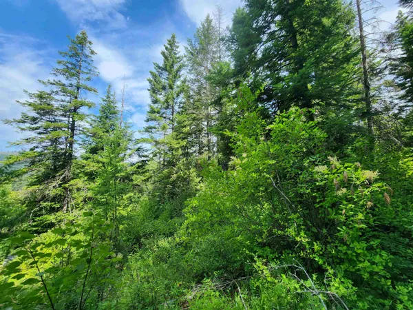 $200,000 | 18-xxx East Eagle Ridge Lane, Mead, WA 99021