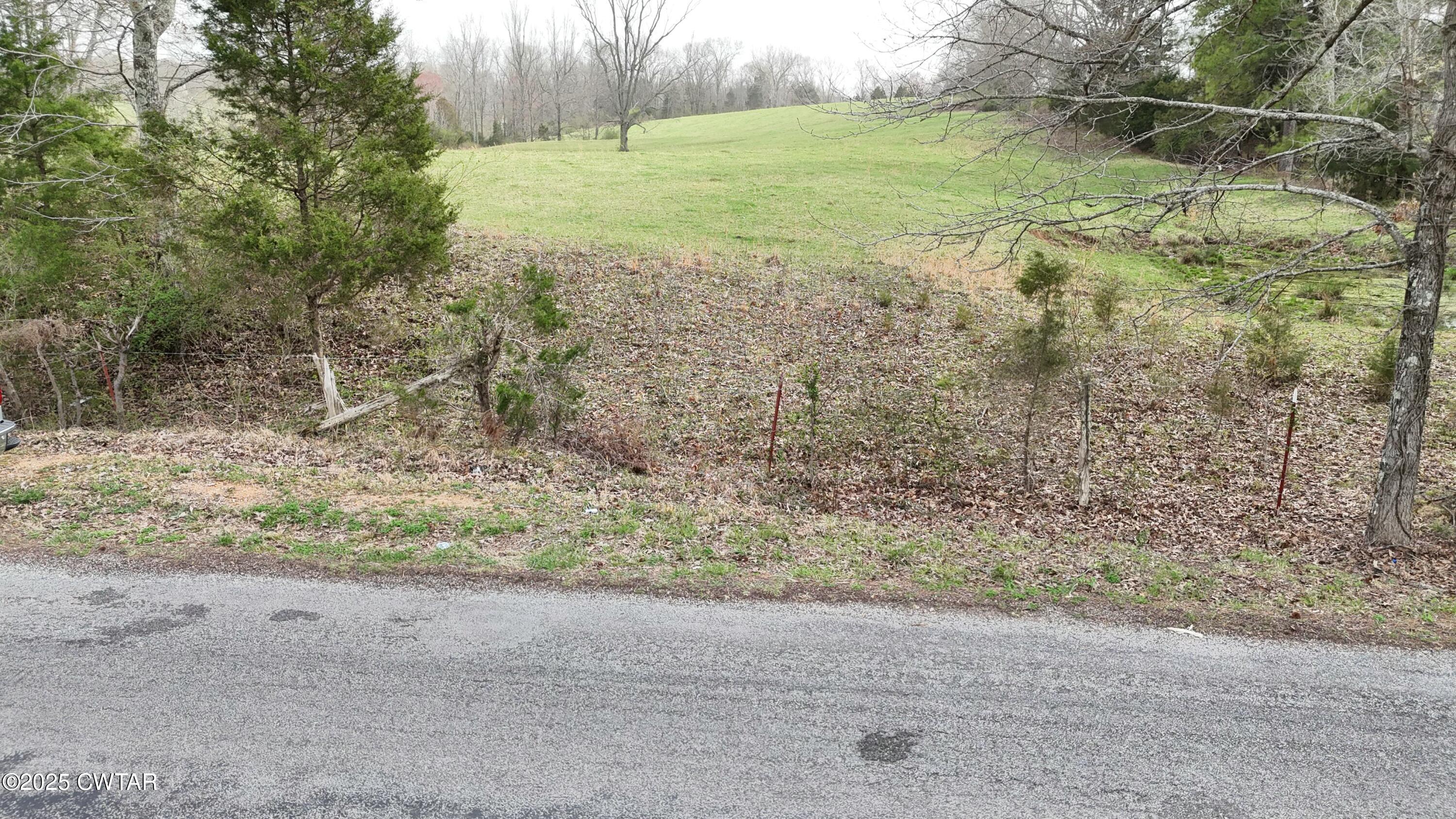 2 Brazil Bottom Road Lexington, TN 38351 - Photo 5 of 6 a view of a yard with a tree