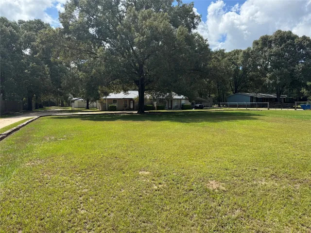 a view of a yard with plants