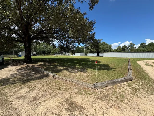 a view of a yard with palm tree