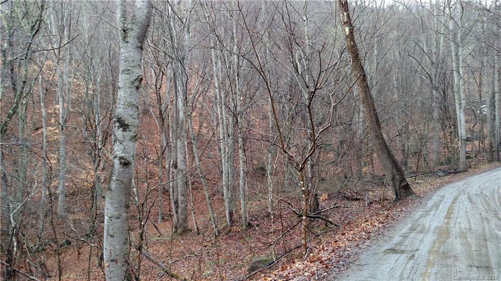 0 Woody Cove Road Clyde, NC 28721 - Photo 1 of 3