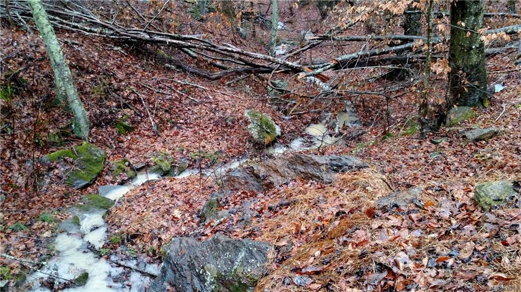 0 Woody Cove Road Clyde, NC 28721 - Photo 3 of 3
