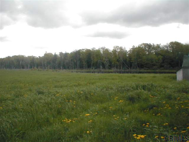 691 Hillman Road Delanson, NY 12053 - Photo 11 of 14 Photo 11