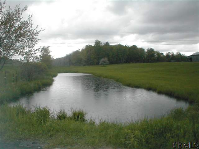 691 Hillman Road Delanson, NY 12053 - Photo 14 of 14 Photo 14