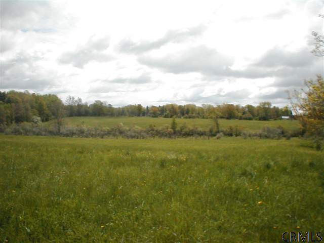 691 Hillman Road Delanson, NY 12053 - Photo 7 of 14 Photo 7