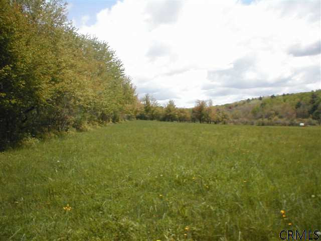 691 Hillman Road Delanson, NY 12053 - Photo 8 of 14 Photo 8