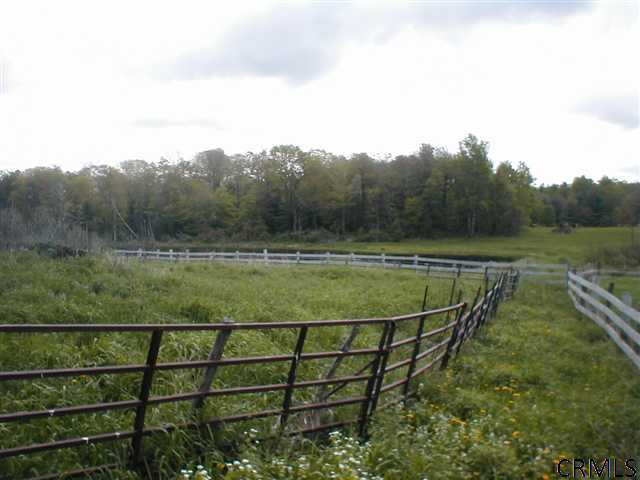691 Hillman Road Delanson, NY 12053 - Photo 10 of 14 Photo 10