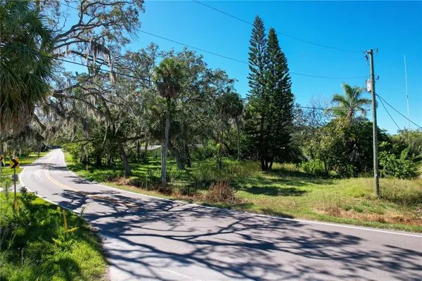 a view of a park with a tree in the background