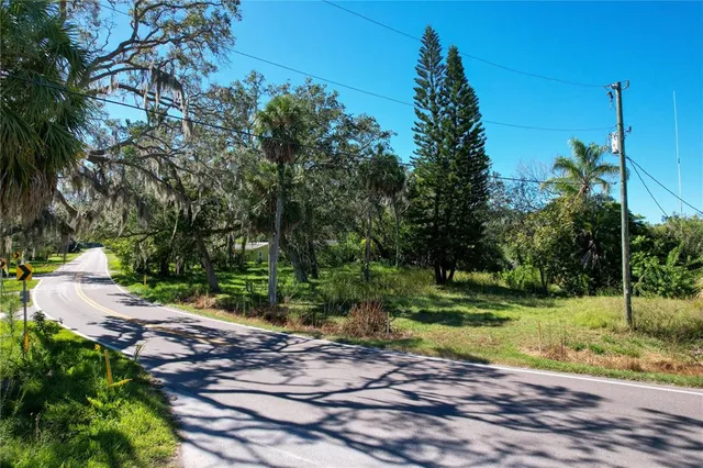 a view of a park with a tree in the background