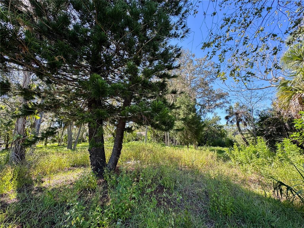18905 Aripeka Road Aripeka, FL 34679 - Photo 12 of 43 a view of lake view