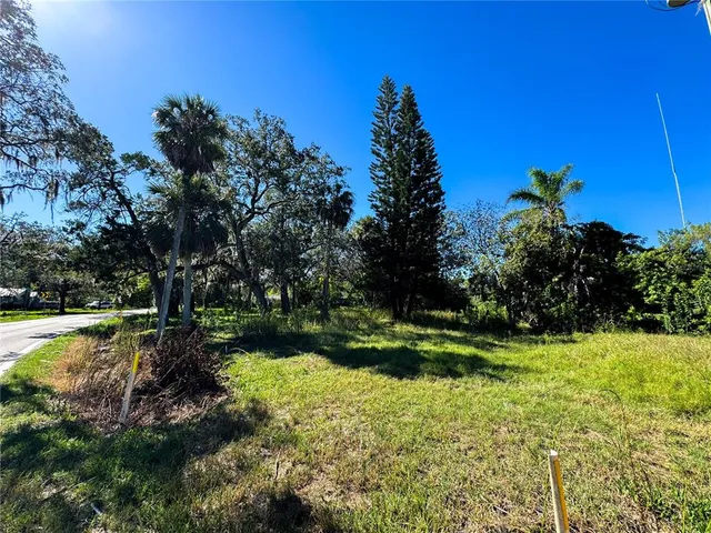 a view of a yard with flower plants