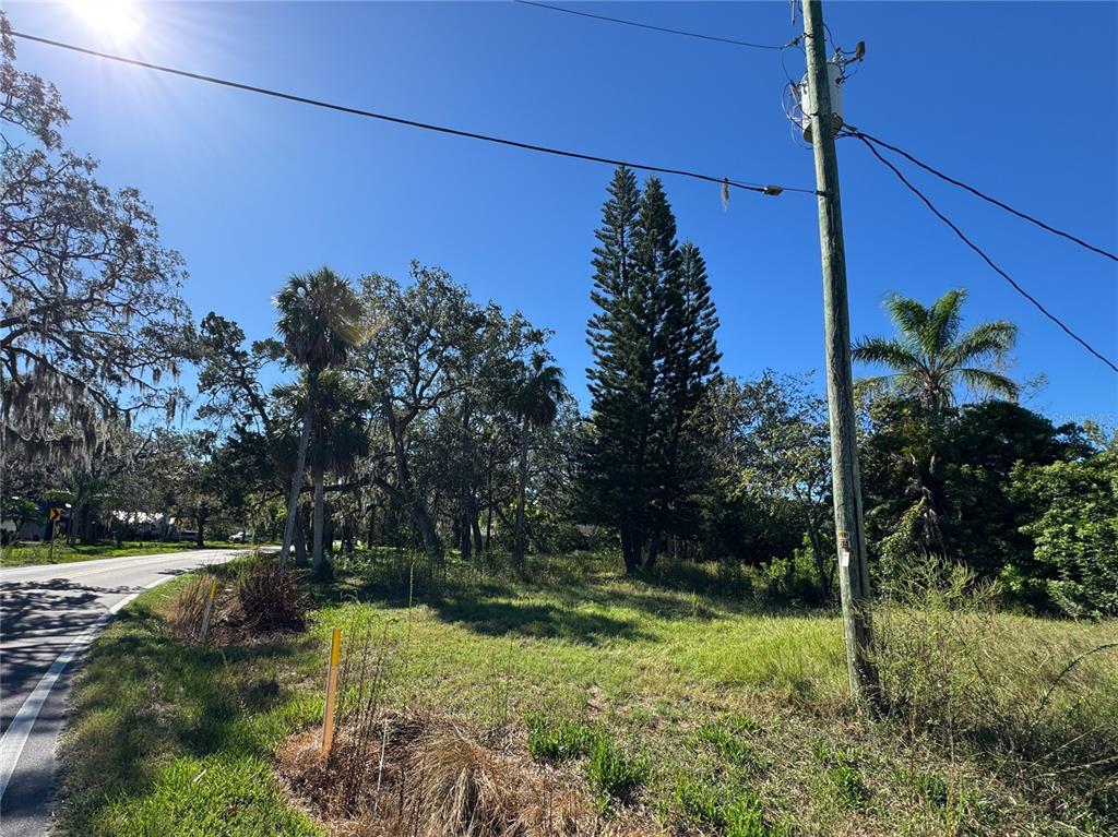 18905 Aripeka Road Aripeka, FL 34679 - Photo 15 of 43 a view of a yard with flower plants