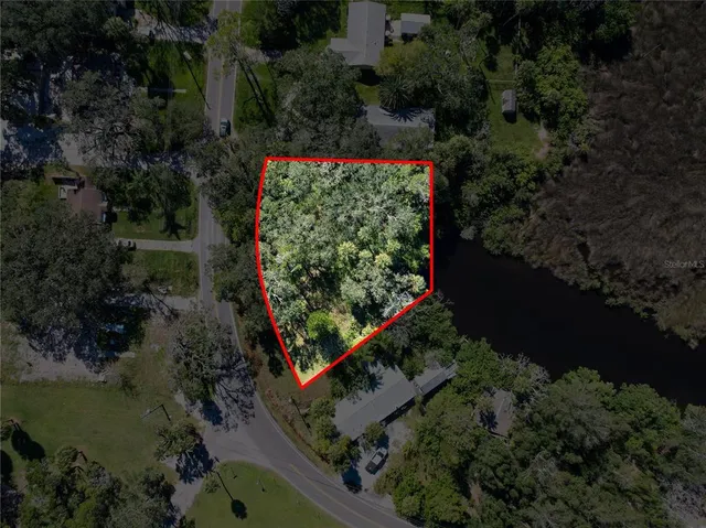 a view of a garden with plants