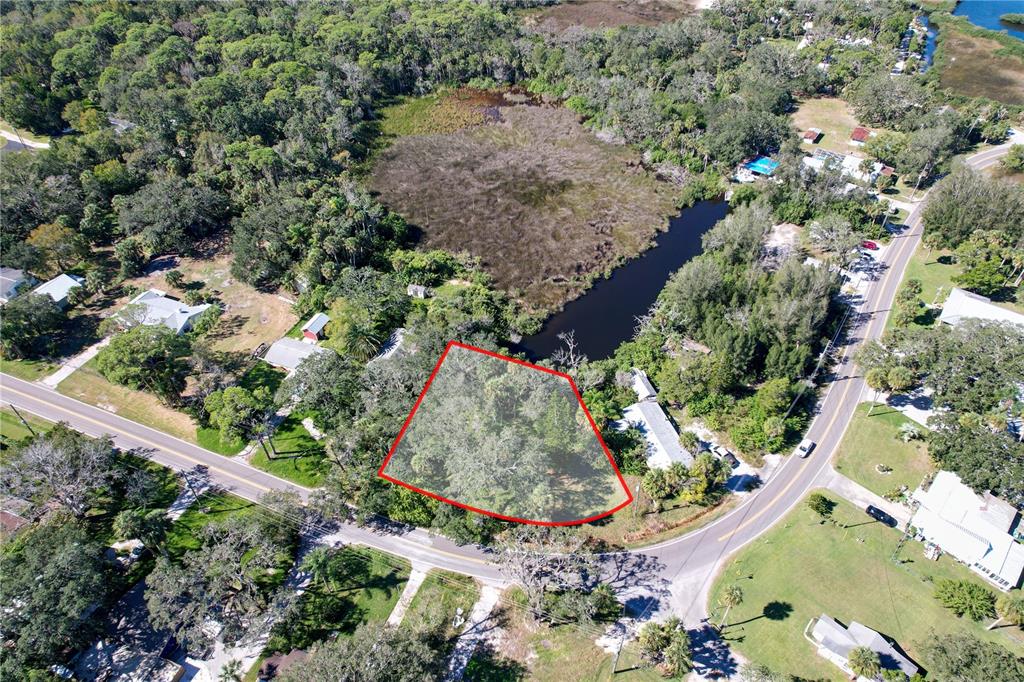 18905 Aripeka Road Aripeka, FL 34679 - Photo 19 of 43 a view of a garden with plants
