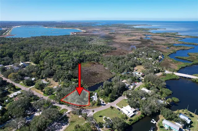 an aerial view of green landscape with trees houses and mountain view