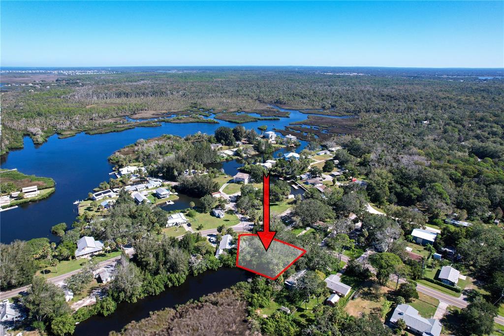 18905 Aripeka Road Aripeka, FL 34679 - Photo 25 of 43 a view of lot of flowers and flowers