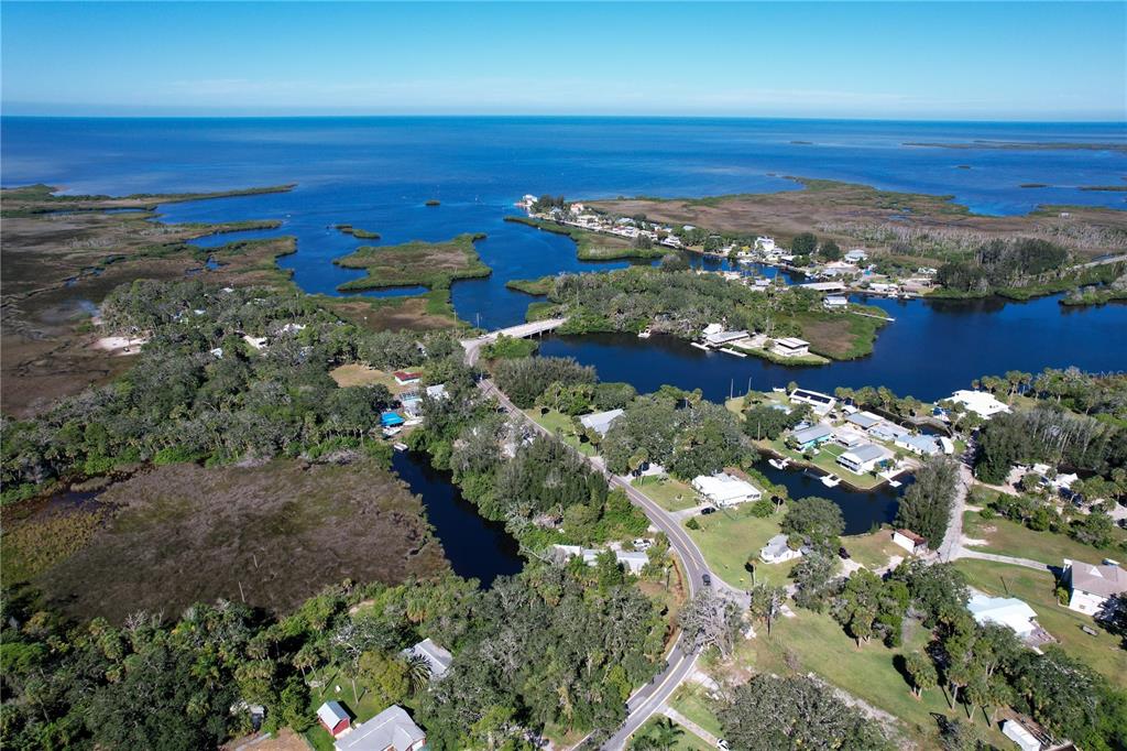 18905 Aripeka Road Aripeka, FL 34679 - Photo 30 of 43 a view of a city with lots of flower plants and wooden floor