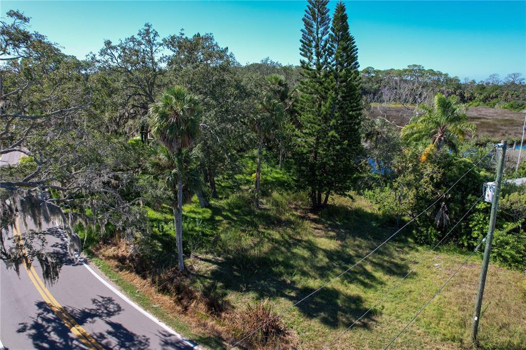 18905 Aripeka Road Aripeka, FL 34679 - Photo 36 of 43 a view of a forest with a tree