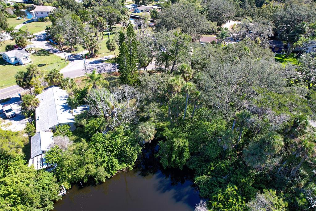 18905 Aripeka Road Aripeka, FL 34679 - Photo 38 of 43 a view of a garden with plants and flowers