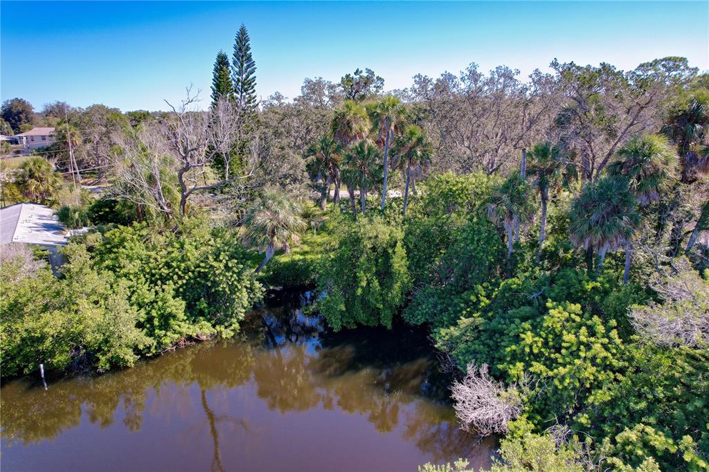 18905 Aripeka Road Aripeka, FL 34679 - Photo 39 of 43 a view of a lake with a mountain view