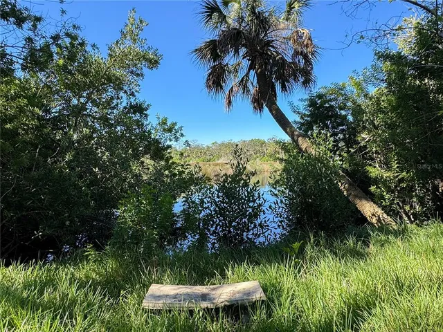 a view of a lake with a yard