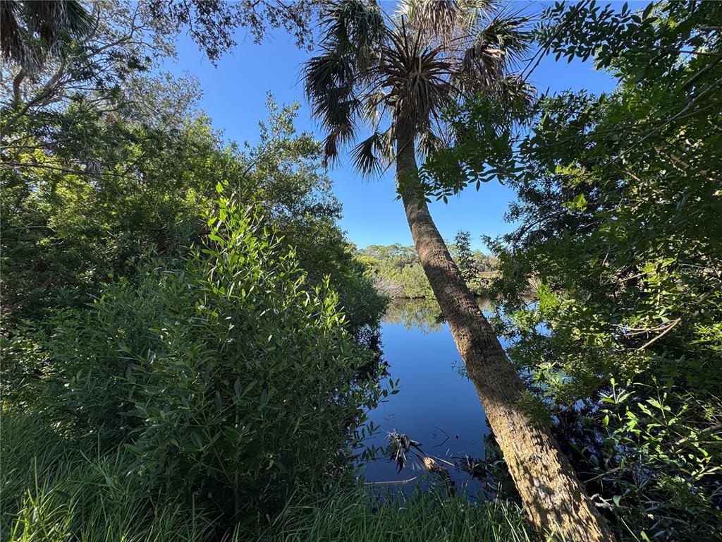 18905 Aripeka Road Aripeka, FL 34679 - Photo 8 of 43