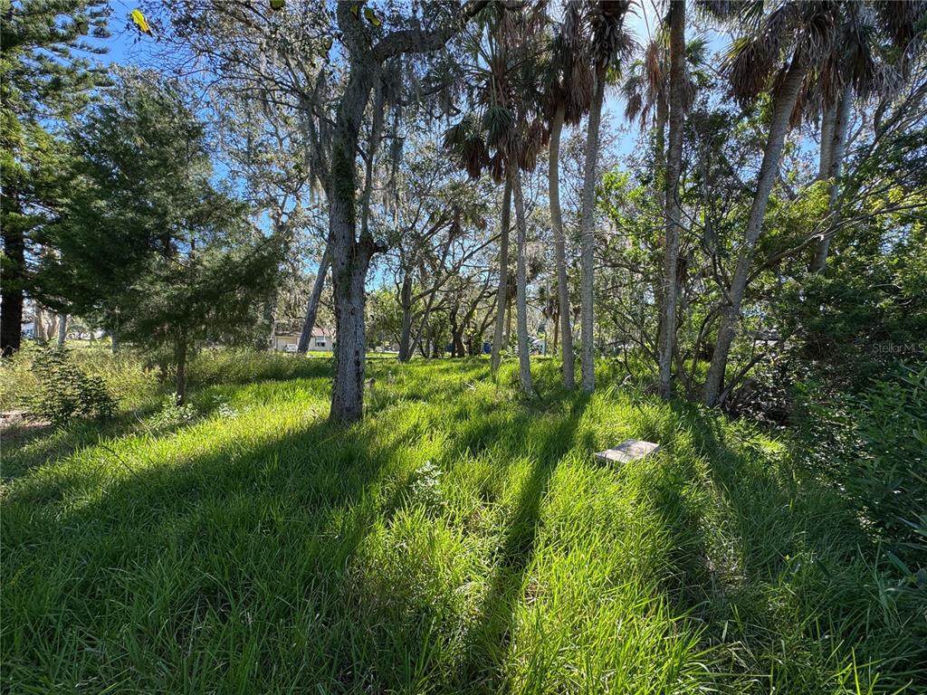 18905 Aripeka Road Aripeka, FL 34679 - Photo 10 of 43 a view of outdoor space with a garden