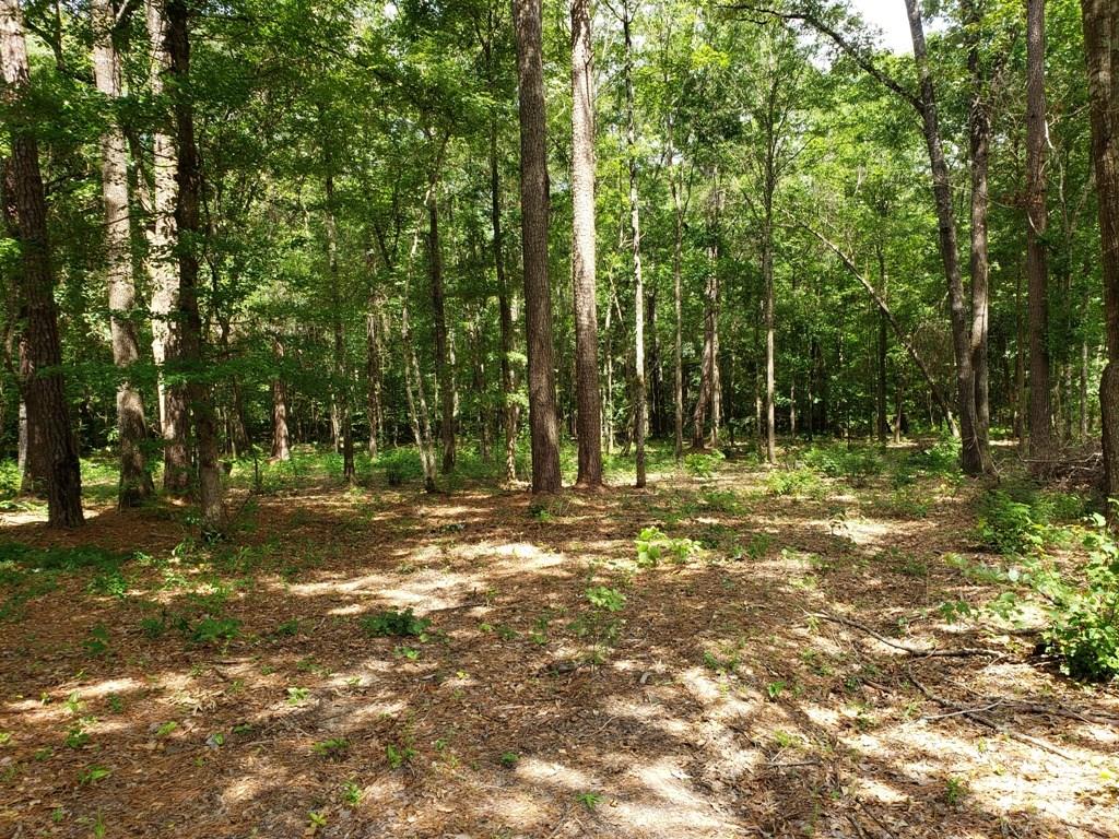 456 Williford Road Ball, LA 71405 - Photo 1 of 2 Gallery Image 1