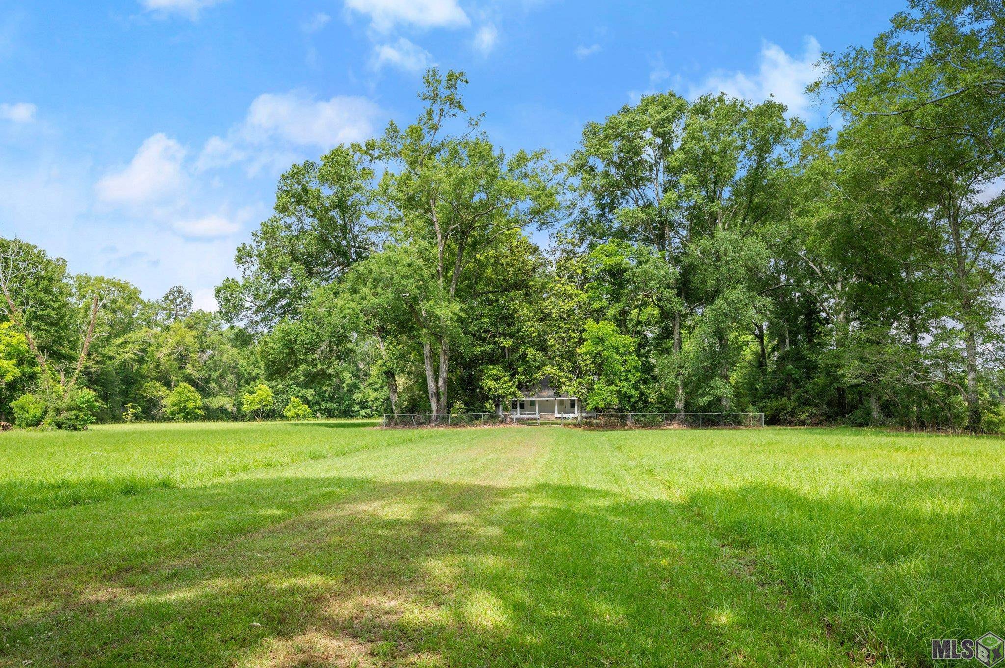 29809 South Cafe Line Road Albany, LA 70711 - Photo 11 of 30