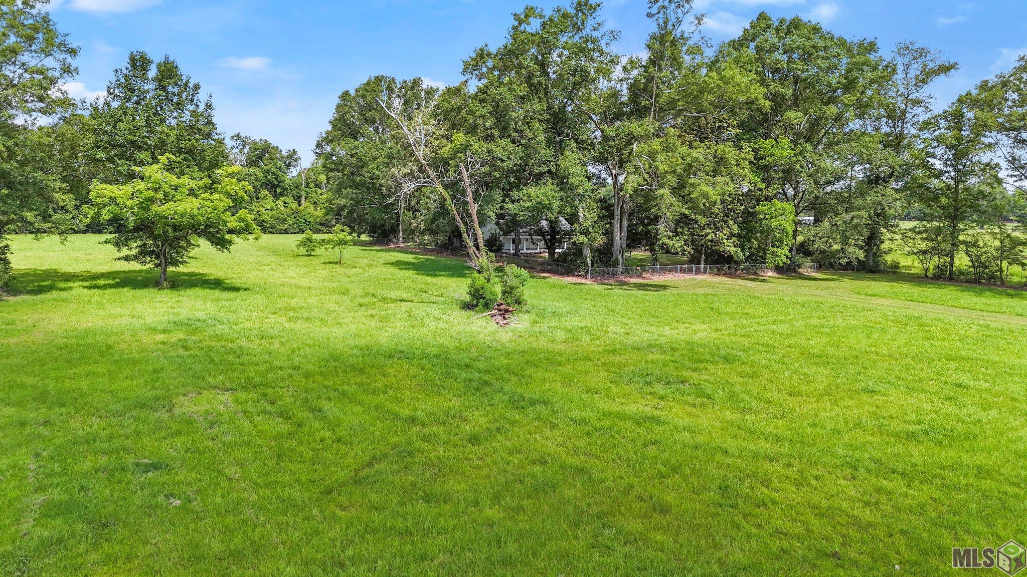 29809 South Cafe Line Road Albany, LA 70711 - Photo 5 of 30