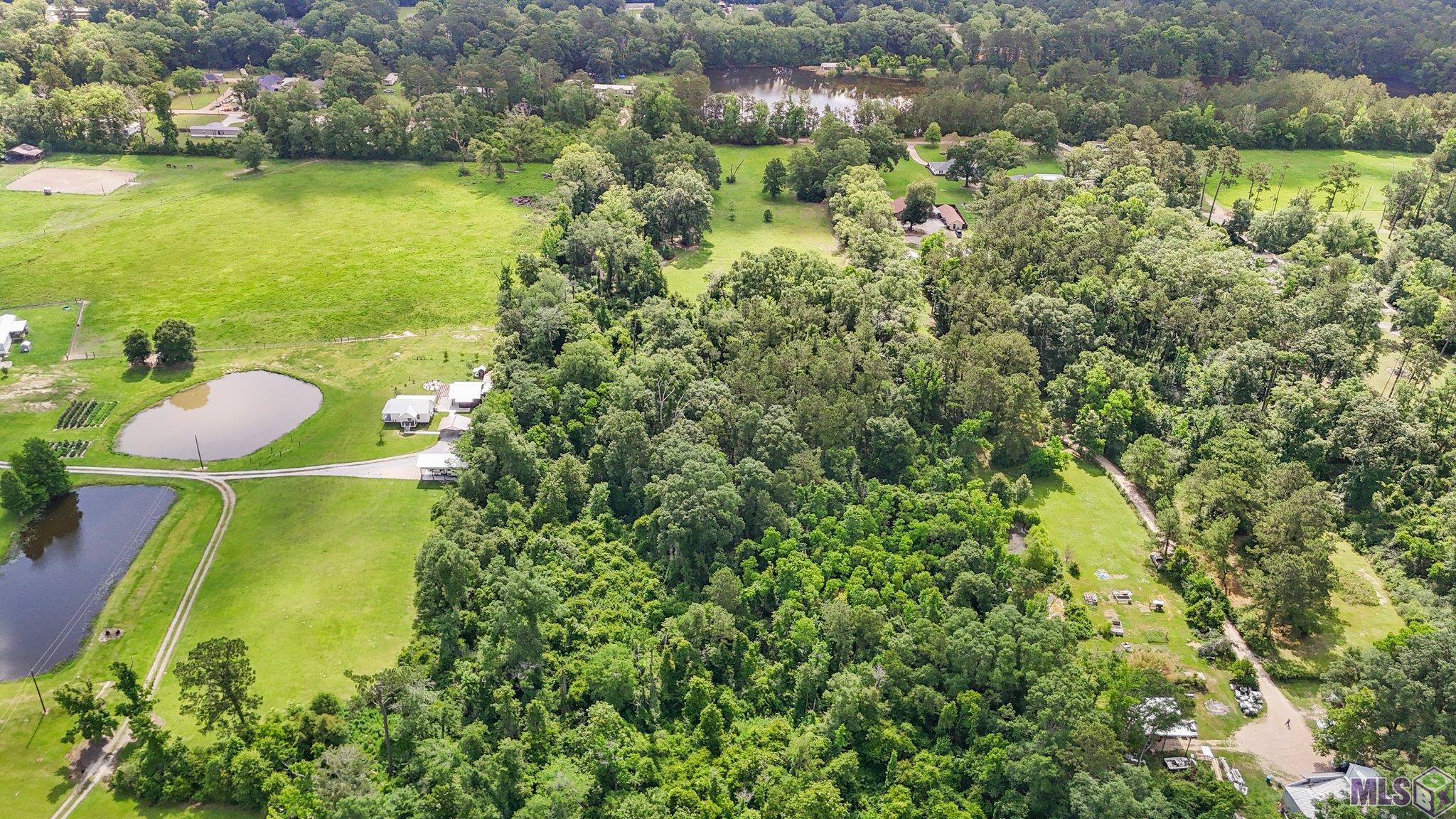 29809 South Cafe Line Road Albany, LA 70711 - Photo 8 of 30