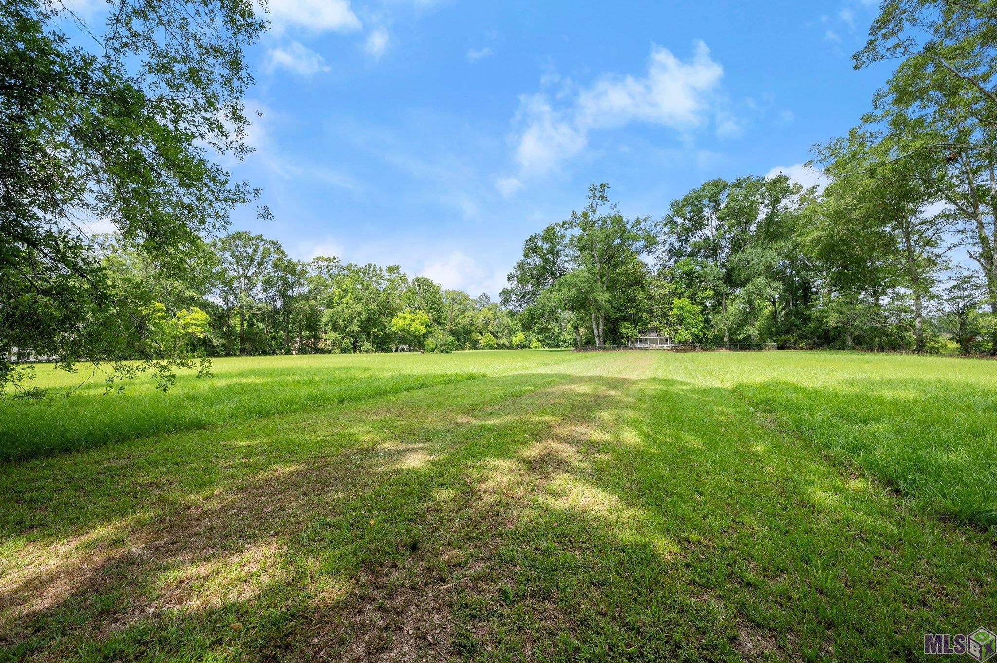 29809 South Cafe Line Road Albany, LA 70711 - Photo 10 of 30