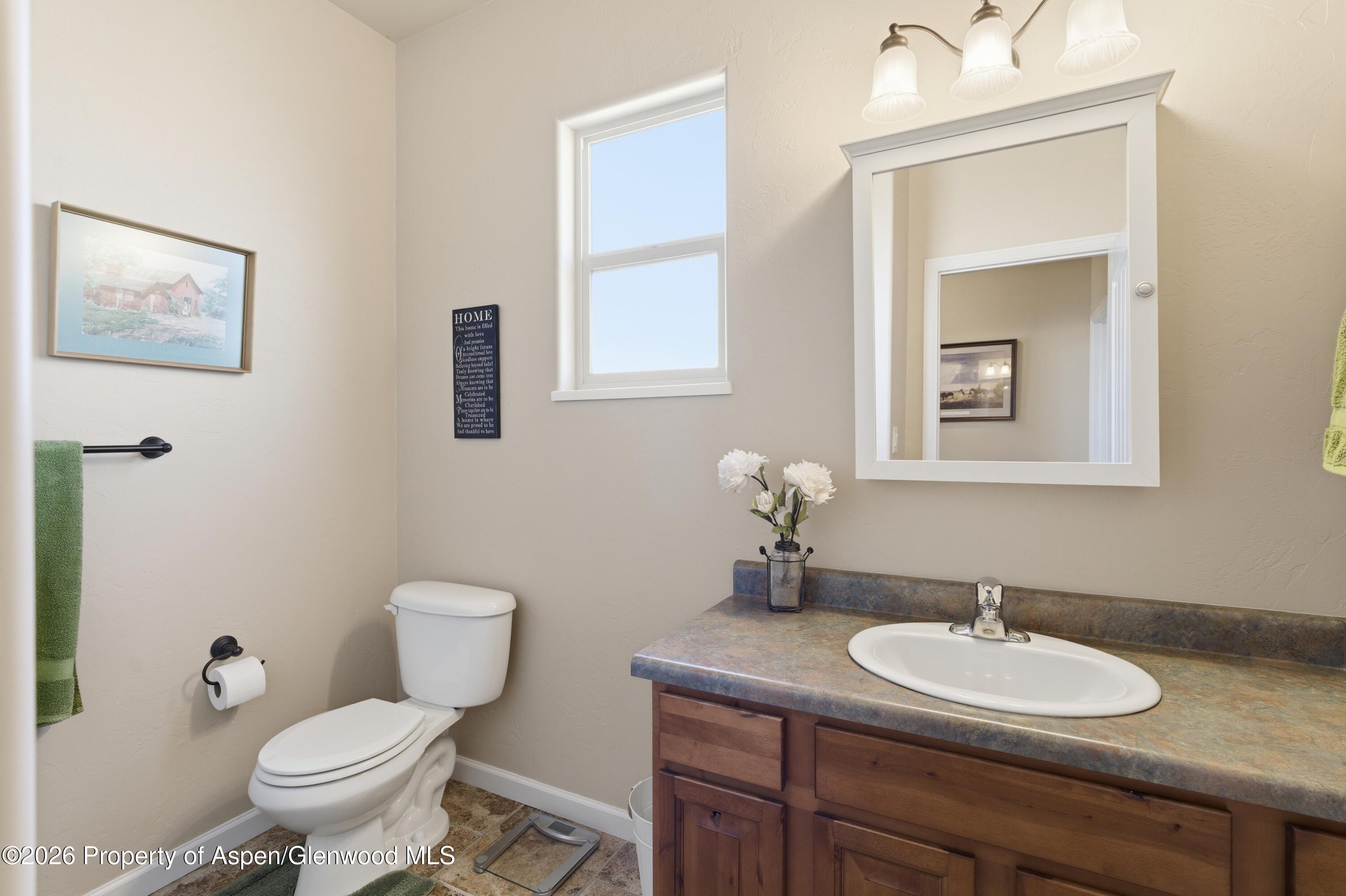 1081 20 Road Fruita, CO 81521 - Photo 13 of 43 a bathroom with a toilet sink and mirror
