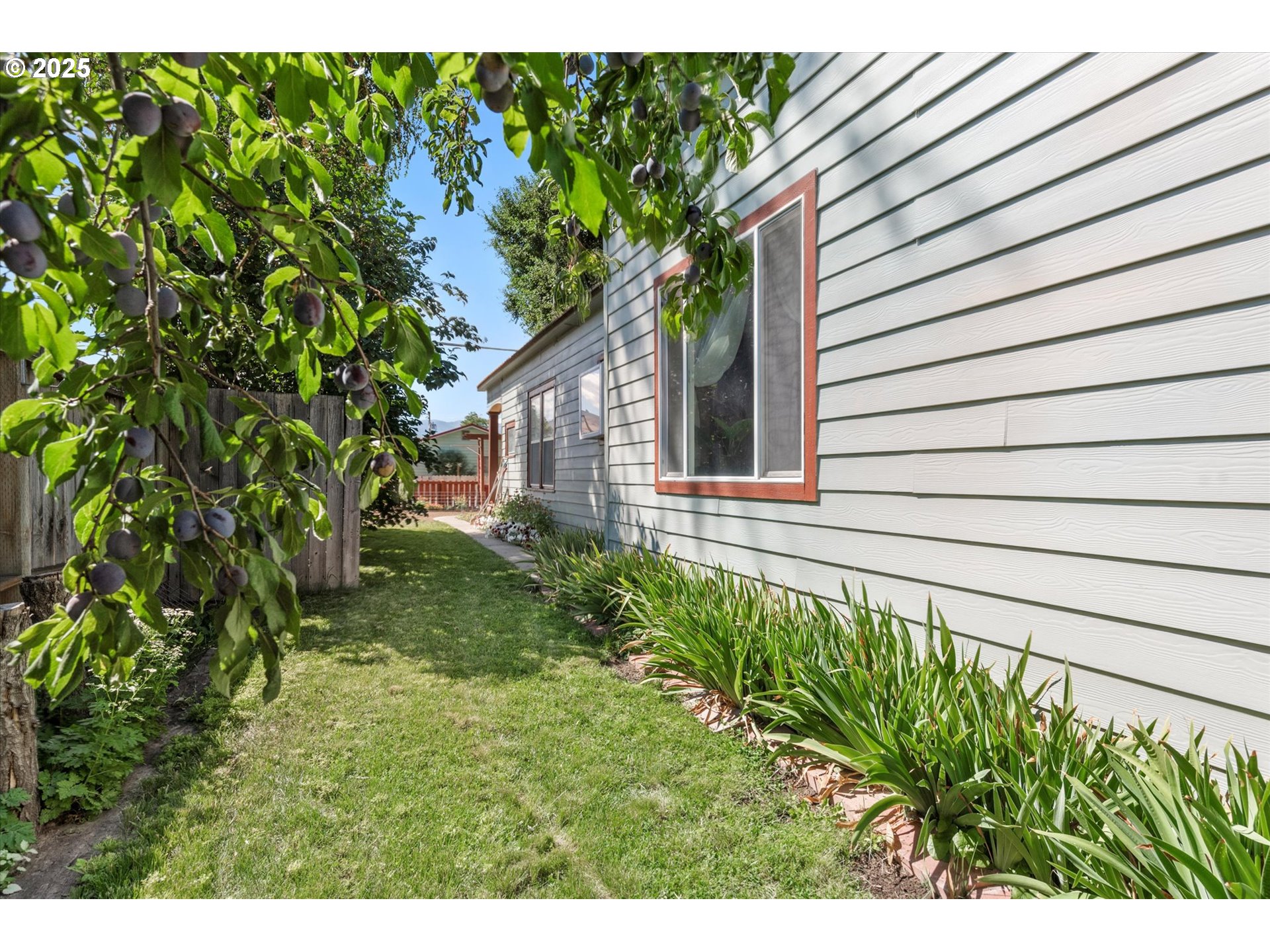 2420 9th Street Baker City, OR 97814 - Photo 8 of 47 a view of a backyard with plants
