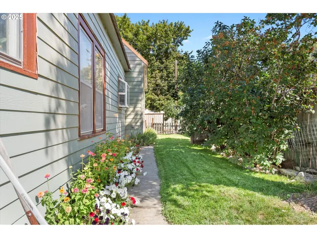 a view of backyard with potted plants and wooden fence