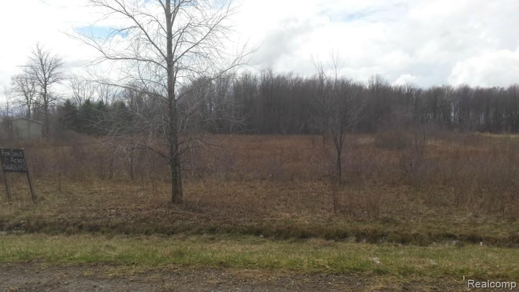 0 Todd Road Croswell, MI 48422 - Photo 3 of 3