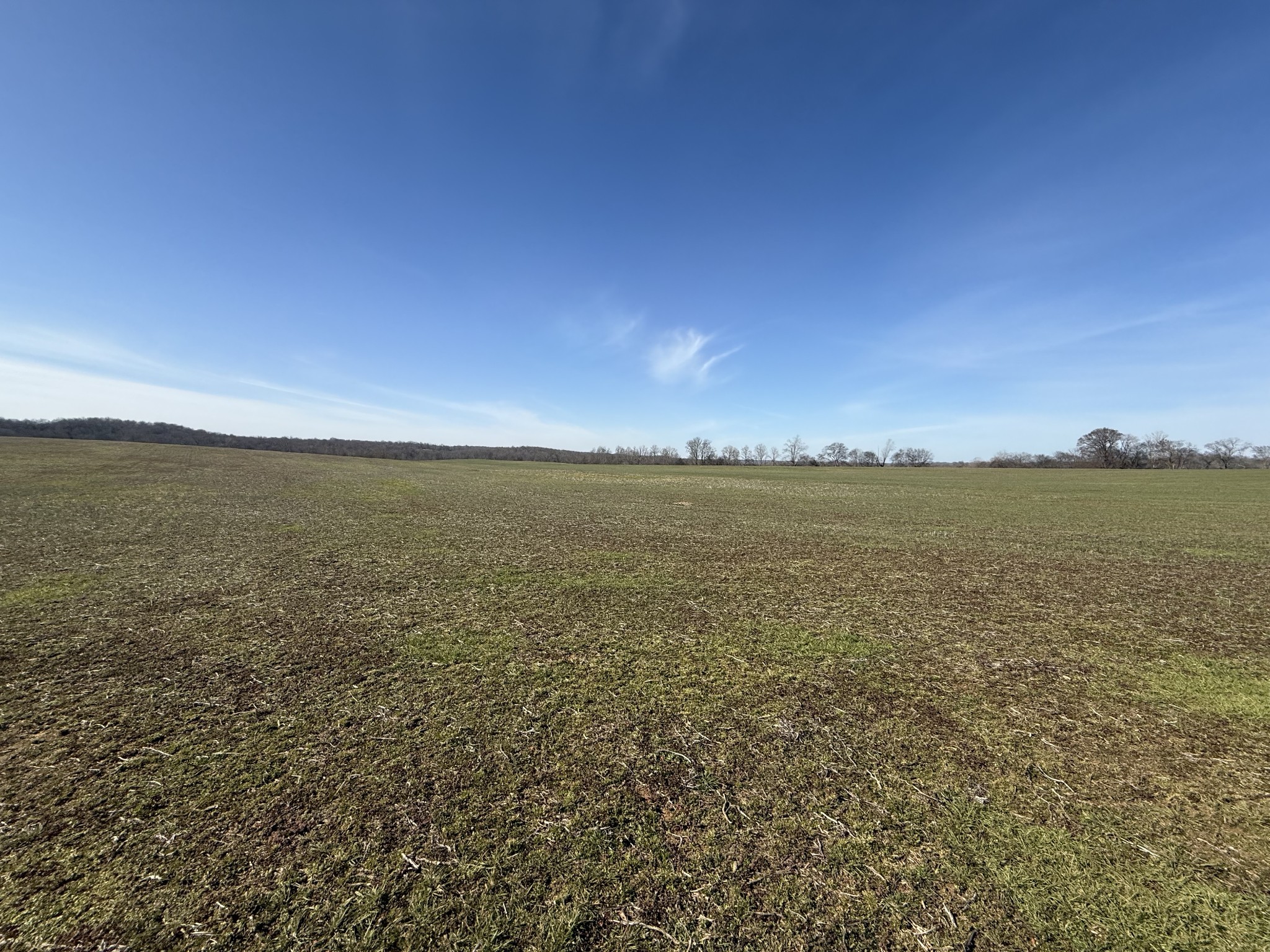 4 Epps Road Southside, TN 37171 - Photo 8 of 13 Gallery Image 8