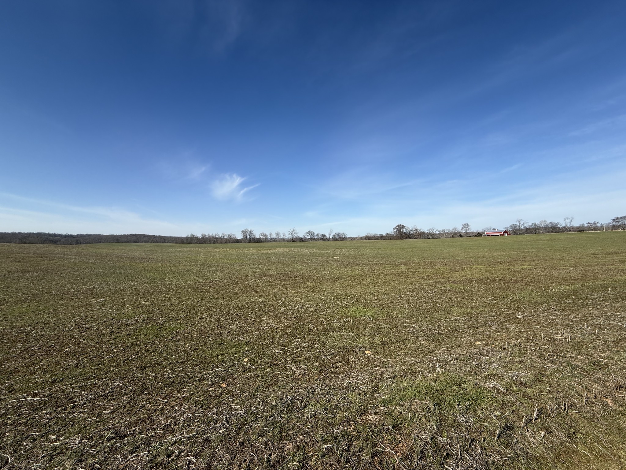 4 Epps Road Southside, TN 37171 - Photo 10 of 13 Gallery Image 10