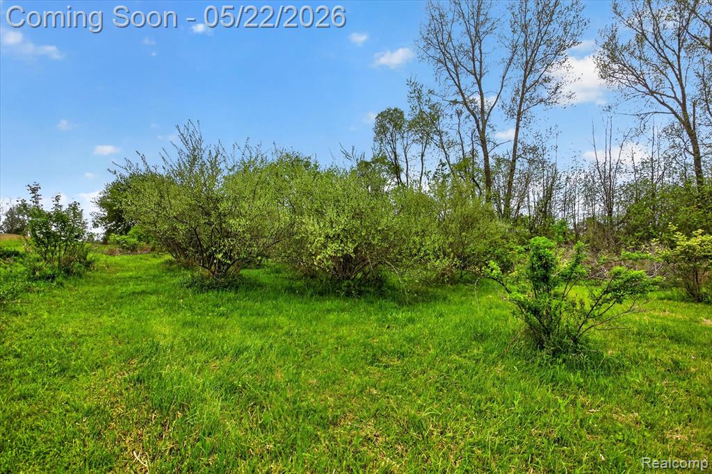 7950 Mayville Road Marlette, MI 48453 - Photo 31 of 50