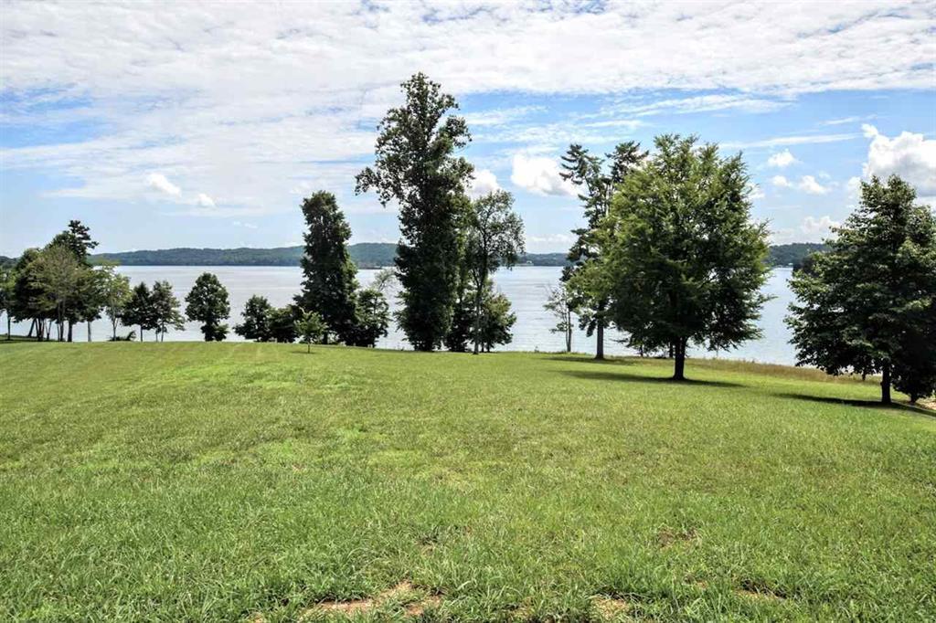 Lot 34 Waterfront Way Spring City, TN 37381 - Photo 1 of 20 20183922