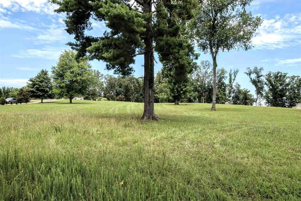 Lot 34 Waterfront Way Spring City, TN 37381 - Photo 13 of 20 20183922-11