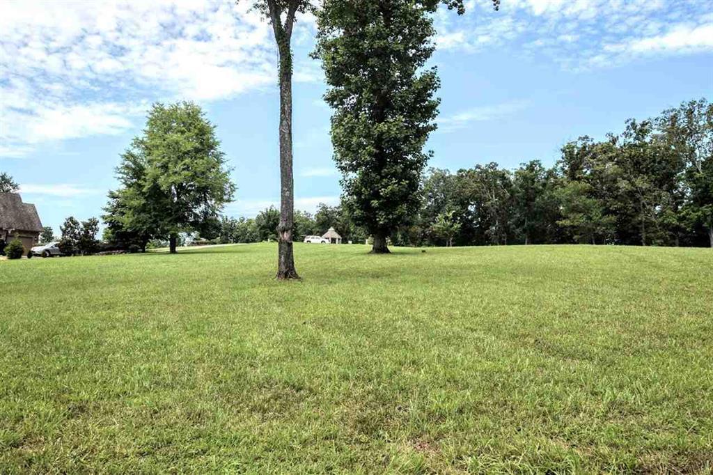 Lot 34 Waterfront Way Spring City, TN 37381 - Photo 14 of 20 20183922-12