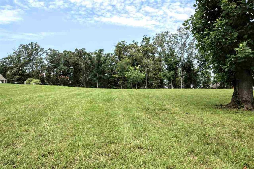 Lot 34 Waterfront Way Spring City, TN 37381 - Photo 15 of 20 20183922-13