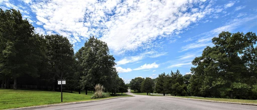 Lot 34 Waterfront Way Spring City, TN 37381 - Photo 19 of 20 20183922-17