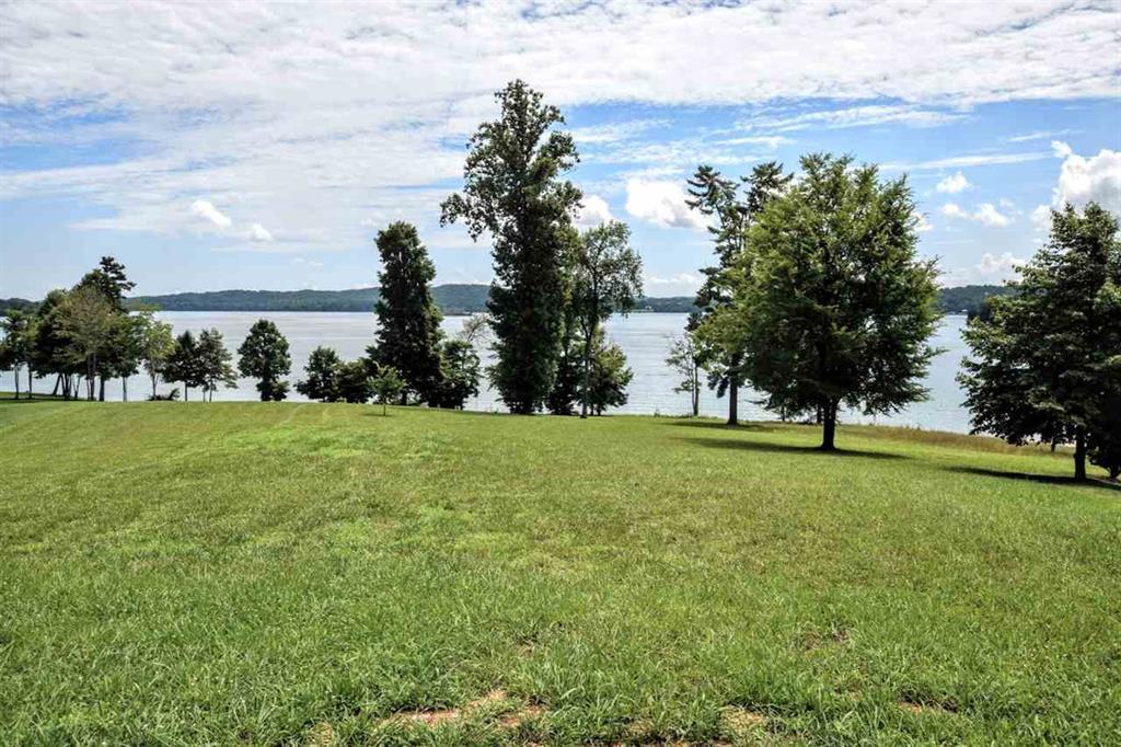 Lot 34 Waterfront Way Spring City, TN 37381 - Photo 6 of 20 20183922-4