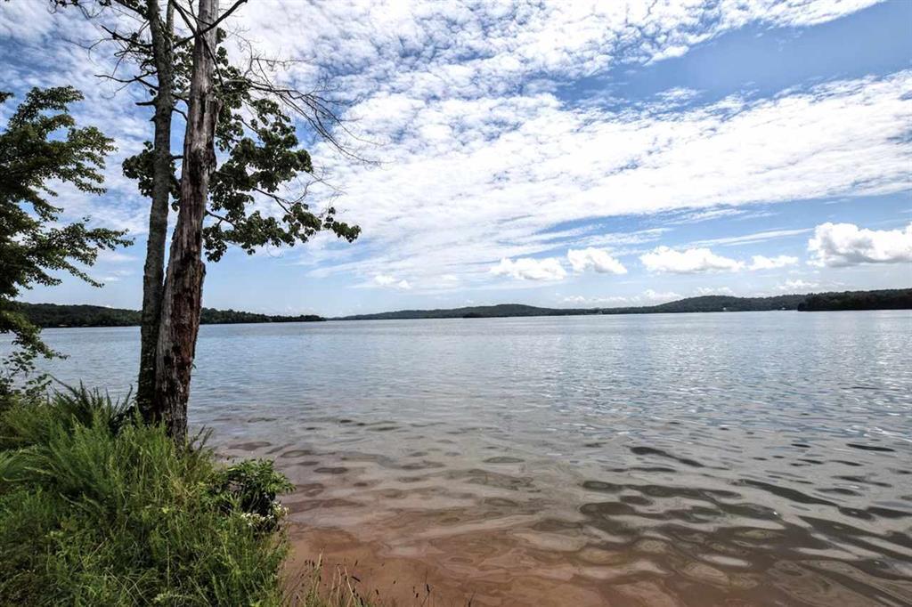 Lot 34 Waterfront Way Spring City, TN 37381 - Photo 10 of 20 20183922-8